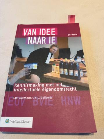 Van idee naar ie boek beschikbaar voor biedingen
