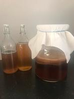 Kombucha: scoby en startvloeistof, Diversen, Ophalen