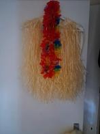 3xrieten rokjes, Ophalen, Zo goed als nieuw, Carnaval