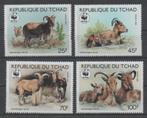 D178 Tsjaad 1171/74 postfris Dieren / WWF, Postzegels en Munten, Postzegels | Thematische zegels, Dier of Natuur, Verzenden, Postfris