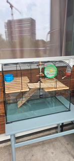 Hamsterkooi, Dieren en Toebehoren, Knaagdieren en Konijnen | Hokken en Kooien, Minder dan 60 cm, Kooi, Minder dan 75 cm, Ophalen of Verzenden