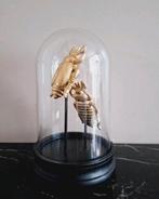 🪳Mooi stolpje met gouden kevers | vakkenkast chique, Nieuw, Ophalen of Verzenden, X, X