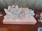 Swarovski, Verzamelen, Swarovski, Ophalen of Verzenden, Zo goed als nieuw, Figuurtje