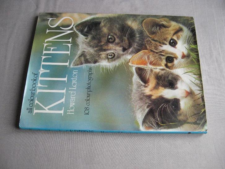 Howard Loxton - all colour book of KITTENS (hardcover), Boeken, Dieren en Huisdieren, Zo goed als nieuw, Katten, Ophalen of Verzenden
