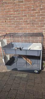 Konijnenhok, binnenhok, Dieren en Toebehoren, Ophalen, Gebruikt, Cavia, 90 cm of meer