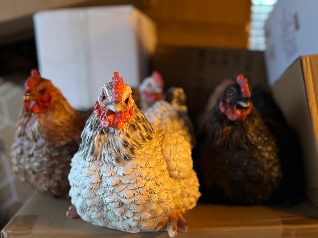 Beelden kip in 3 verschillende kleuren, Ophalen of Verzenden, Nieuw, Dier