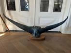 Bleu Marlin vissenstaart, Verzamelen, Dierenverzamelingen, Ophalen, Gebruikt, Overige soorten, Beeldje of Figuurtje