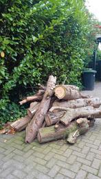 haardhout/boomstammen ongekloofd., Minder dan 3 m³, Ophalen, Overige houtsoorten, Blokken