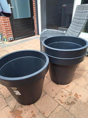Planten /bloembakken  beschikbaar voor biedingen