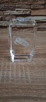 Laserblok schilpad, Ophalen of Verzenden, Nieuw
