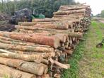 haardhout stammen eiken berken machinehout, Eikenhout, Stammen, 6 m³ of meer, Verzenden