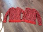 Tweeling meisjes truien van LEV maat 116, Ophalen of Verzenden, Zo goed als nieuw, Kleding