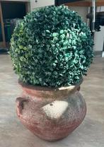 Vintage pot met buxus, Ophalen of Verzenden, Zo goed als nieuw