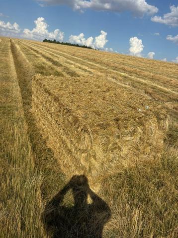  Graszaadhooi – Structuurvoer van hoge kwaliteit. beschikbaar voor biedingen