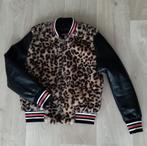 Coolcat winter jack, maat 134-140, Meisje, Coolcat, Ophalen of Verzenden, Zo goed als nieuw