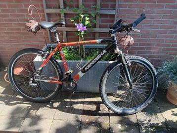 mtb beschikbaar voor biedingen