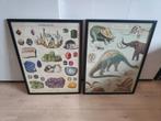 Ikea fiskbo lijsten cavallini posters Dinosaurus mineralen, Ophalen, Zo goed als nieuw