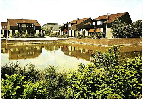 806109	Bedum	Groningen	Plan Oost	Nette oude kaart onbeschrev, Verzamelen, Ansichtkaarten | Nederland, Ongelopen, Groningen, Ophalen of Verzenden