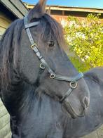 Rambo Micklem Multi bridle / full, Dieren en Toebehoren, Paarden en Pony's | Hoofdstellen en Tuigage, Ophalen of Verzenden, Gebruikt