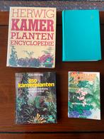 4 Kamerplanten Boeken o.a. Encyclopedie ., Overige soorten, Minder dan 100 cm, Ophalen of Verzenden, Halfschaduw