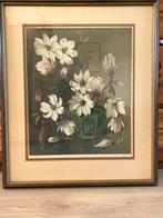 A. Van Hemert otiginele kleuren ets ‘Magnolia’, Ophalen