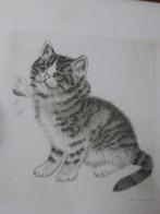 Originele ets van kat / poes met strik / Ebersbach 1822-1900, Antiek en Kunst, Ophalen of Verzenden