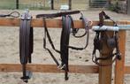 Te koop bruin dubbel span mini shetlander mentuig nieuw, Dieren en Toebehoren, Paarden en Pony's | Hoofdstellen en Tuigage, Ophalen of Verzenden