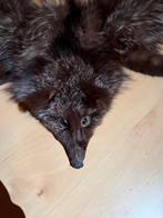 Antieke Zwarte Vossenbont Stola / Sjaal, Ophalen of Verzenden, Dames