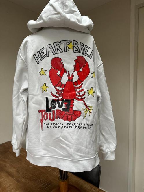 COLOURFUL REBEL dikke trui maat S ZP, Kleding | Dames, Truien en Vesten, Gedragen, Maat 36 (S), Wit, Ophalen of Verzenden