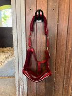 QHP halster, Dieren en Toebehoren, Ophalen of Verzenden, Nieuw