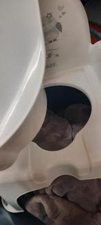 Plas en poep potje, Ophalen of Verzenden, Zo goed als nieuw, Overige typen, Overige merken