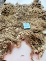 nr 8 Geschoren vacht van een skudde, Ophalen of Verzenden, Nieuw