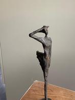 Corry Ammerlaan Visie op de toekomst, Ophalen of Verzenden