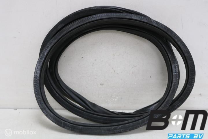 Portierrubber rechtsvoor VW Polo 2G 2G4867912B, Auto-onderdelen, Interieur en Bekleding, Gebruikt