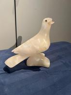 Duif, Ophalen of Verzenden