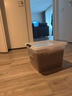 The hills urinary c/d honden voer, Dieren en Toebehoren, Ophalen, Hond