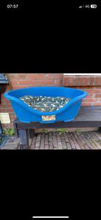 Hondenmand met kussen gratis, Ophalen of Verzenden, Polyester