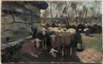 Willem Steelink jr. (1856-1928) - Schapen in de schaduw, Antiek en Kunst, Ophalen of Verzenden