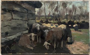 Willem Steelink jr. (1856-1928) - Schapen in de schaduw beschikbaar voor biedingen