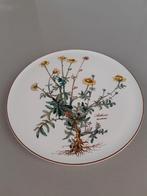 Taartplateau Villeroy en Boch Botanica Schaars, Ophalen of Verzenden, Overige stijlen, Porselein, Schaal of Schalen