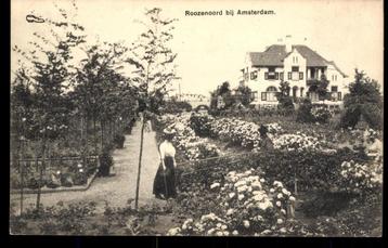 Rozenoord bij Amsterdam, Rozenkwekerij met Villa, volk 1916 beschikbaar voor biedingen
