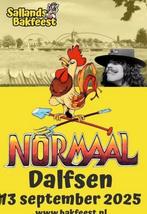 Normaal Dalfsen 2 stuks €100, Tickets en Kaartjes, Twee personen