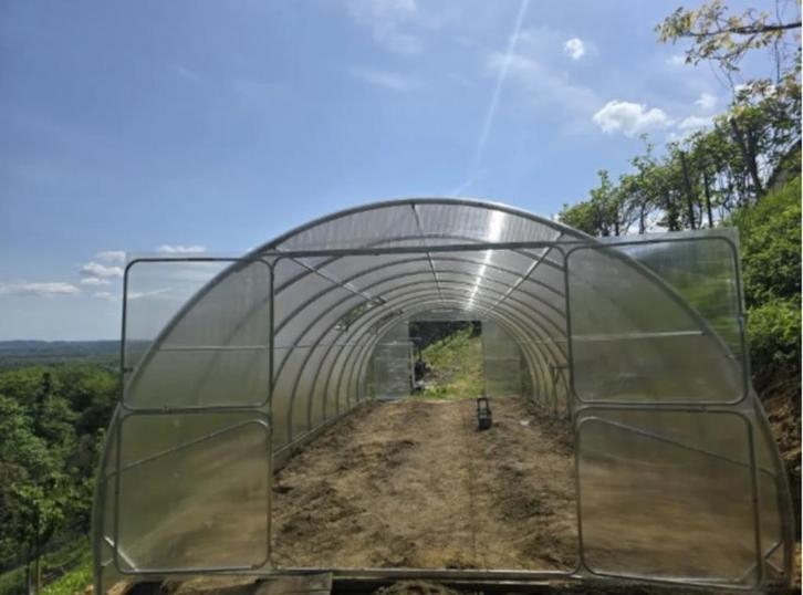Kweekkas, Tunnelkas, PROFI ZEUS 4x4m-6 mm polycarbonaat, Tuin en Terras, Kassen, Nieuw, Kweekkas, Staal, Polycarbonaat, Verzenden