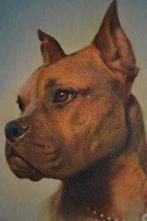 frankrijk 1953 portret hond boxer met halsband, Ophalen of Verzenden, 1940 tot 1960, Gelopen, Sterren en Beroemdheden