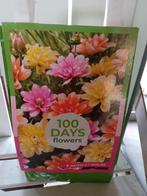 Actie Dahlia Tas, Ophalen of Verzenden, Volle zon, Knol