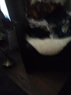 Partij zomermerkkleding alle maten en voor vrouw man kind, Ophalen of Verzenden, Zo goed als nieuw, Overige maten