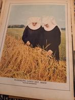 foto twee nonnen wandelen door akker 30s 26x36 cm, Gebruikt, Foto, Voor 1940, Verzenden