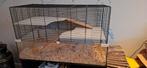 Grote hamster, gerbil of muizenkooi, Dieren en Toebehoren, Ophalen, Kooi, 60 tot 90 cm, Hamster