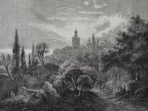 Originele houtgravure 1877 –  San Remo met tuinen en torens, Antiek en Kunst, Kunst | Etsen en Gravures, Verzenden