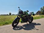 Kawasaki Z300 2015 (A2 35KW) Z 300, Motoren, Motoren | Kawasaki, 299 cc, 2 cilinders, Particulier, 12 t/m 35 kW